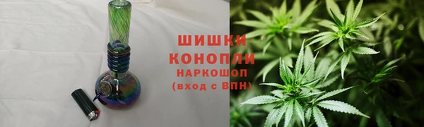 ПСИЛОЦИБИНОВЫЕ ГРИБЫ Снежногорск