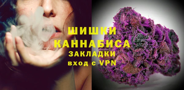 соль ск Снежинск