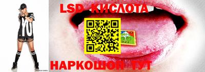 прущие грибы Гагарин