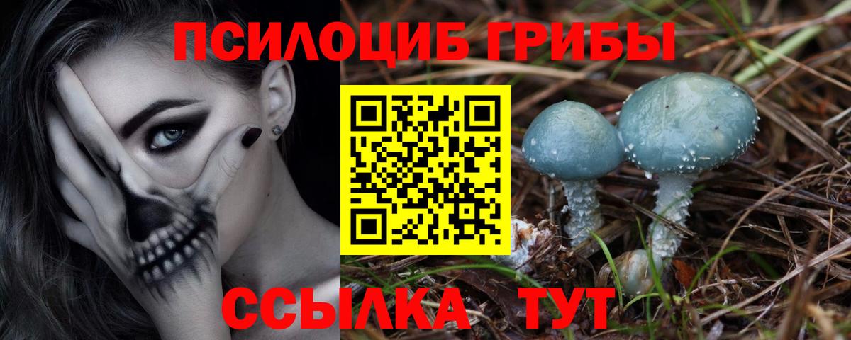 Псилоцибиновые грибы Psilocybine cubensis  Вход с VPN  Кувандык 