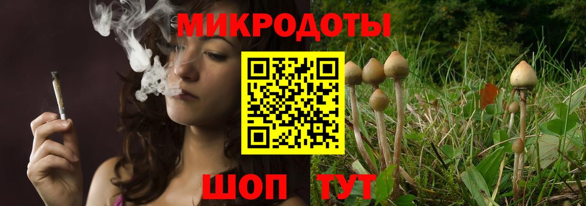 Галлюциногенные грибы мицелий Кувандык